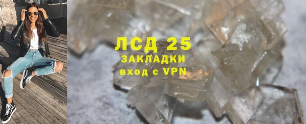 стаф Алзамай
