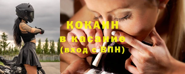 гашик Алексеевка