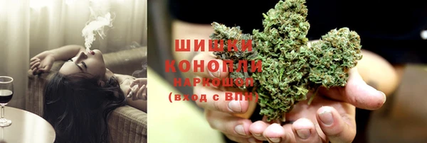 дживик Елизово