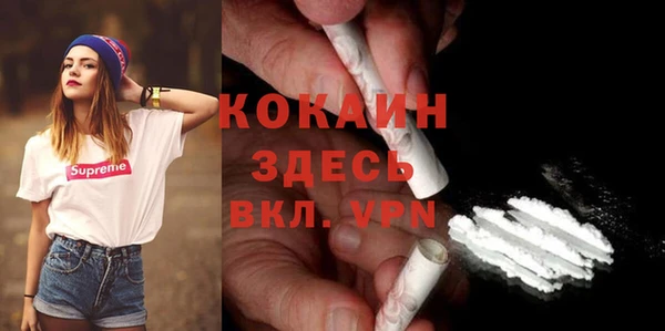 стаф Алзамай