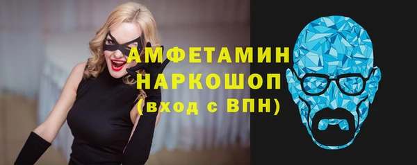 стаф Алзамай
