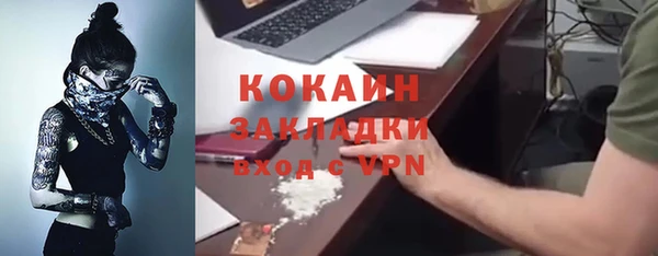 стаф Алзамай