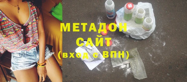 стаф Алзамай