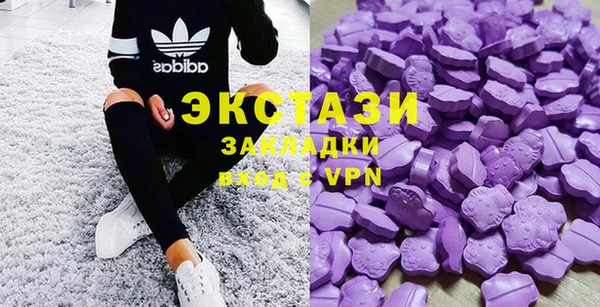 стаф Алзамай