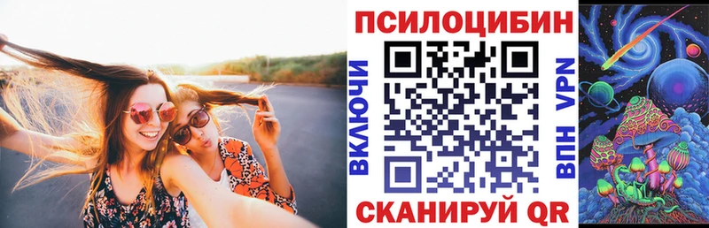закладка  площадка официальный сайт  Галлюциногенные грибы Psilocybine cubensis  Котельники 
